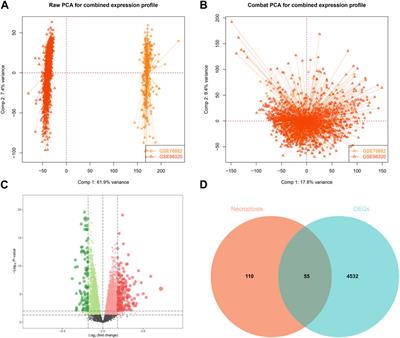 Construction of predictive model of interstitial fibrosis and tubular atrophy after kidney transplantation with machine learning algorithms